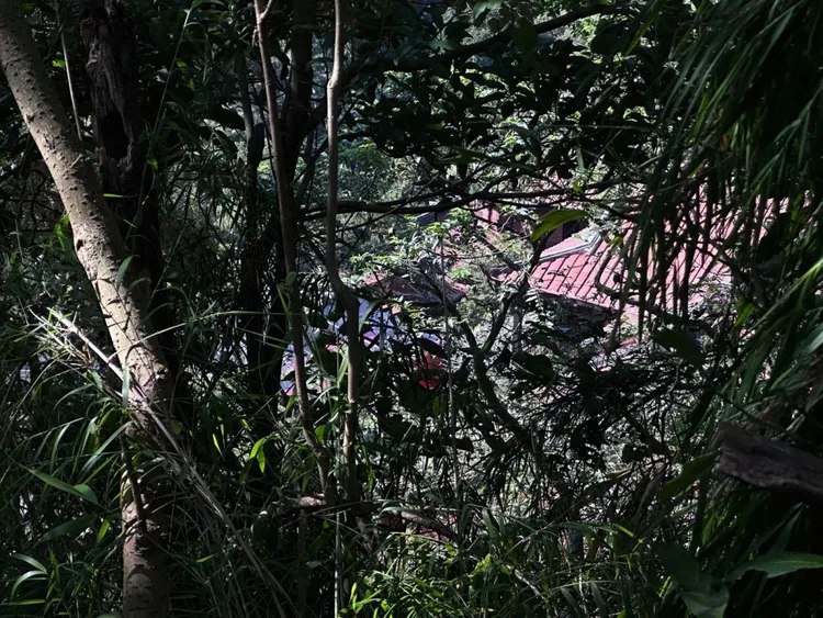 薄瓜瓜婚宴園內，搭起透明棚子宴客。特勤中心攝