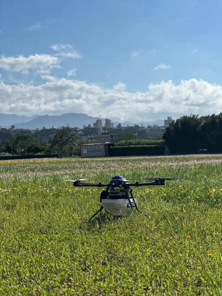 無人機撒佈餌劑防治紅火蟻。農業局提供