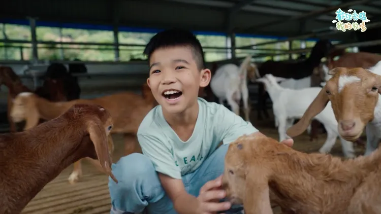 牧場小主人帶領觀眾，兒童節目揭開飼養動物的神祕面紗。小公視提供