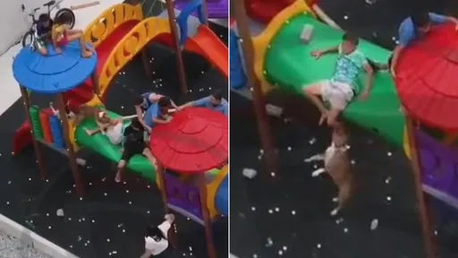 驚悚!比特犬衝兒童遊戲區攻擊 11歲男童被狂咬重傷