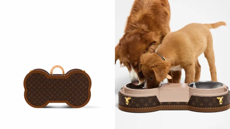 SOGO獨家商品Bone Trunk骨頭造型寵物食物碗硬箱，62萬元。品牌提供