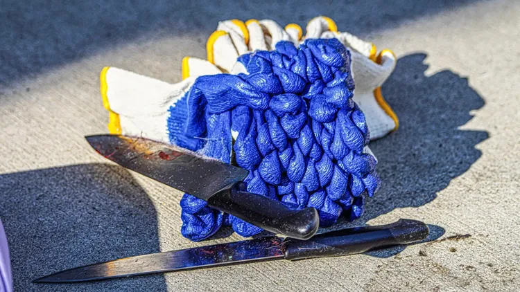 嫌犯里維拉所持刀具。翻攝自《紐約郵報》