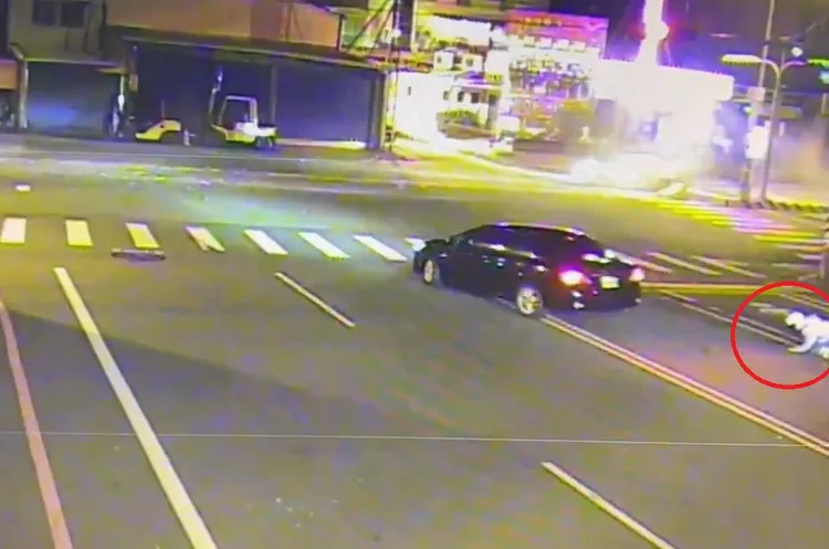 彭姓女騎士及時跳車，四肢著地爬起身。民眾提供