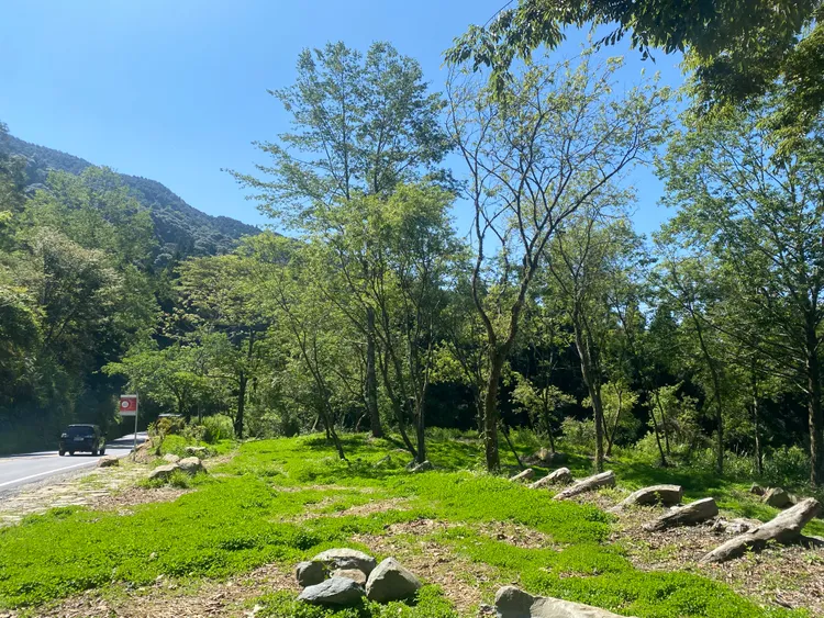 阿里山公路台18線85k隙地。公路局提供