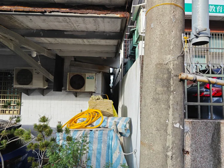 捕蜂現場。翻攝畫面