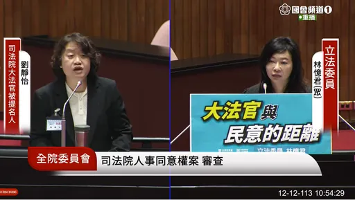 曾罵王義川「蠢到爆表」 大法官被提名人劉靜怡認了:是真心話