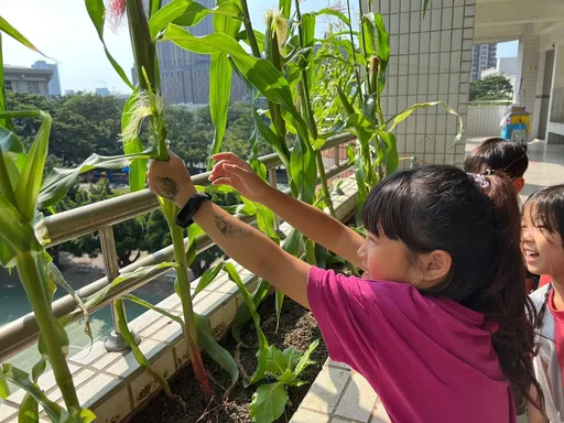 深耕食農教育!高雄新上國小深耕10年 今榮獲食農教育傑出貢獻獎