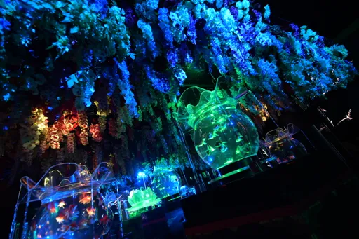金魚藝術展Art Aquarium ATT信義盛大開幕