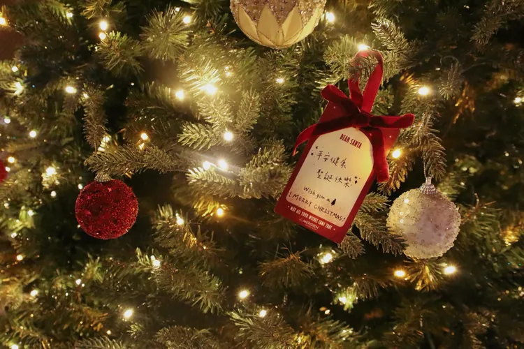 酒店內也陸續更換聖誕藝術裝置，12/1起不限房客或是用餐旅客，即可至1樓接待櫃檯領取一張聖誕卡片，寫上心願後更可掛在館內的聖誕樹上，用心願迎接嶄新的2025年。業者提供