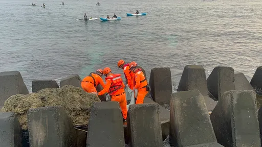 海龜受困小琉球岸邊消波塊 海巡發現即刻救援脫困