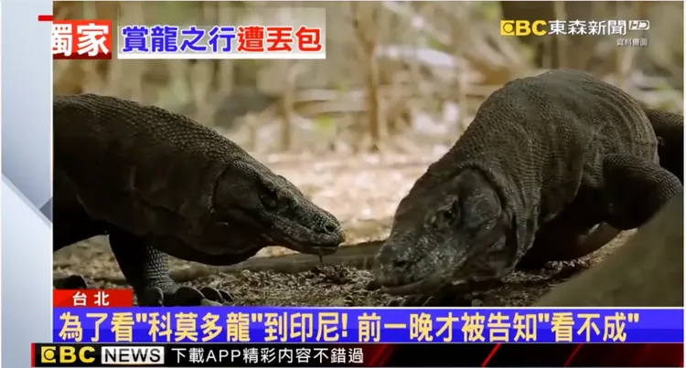 有民眾向KKday下訂「科莫多島一日遊」，到了印尼當地前一晚才被臨時告知取消。翻攝自東森新聞