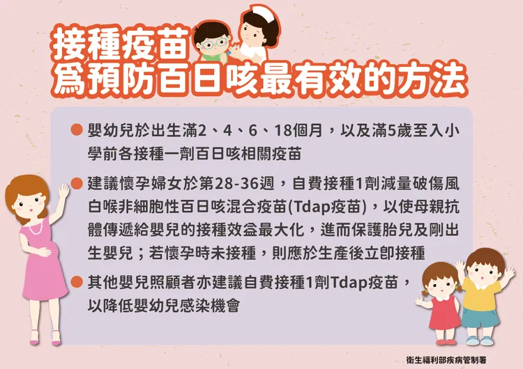 百日咳衛教。疾管署提供