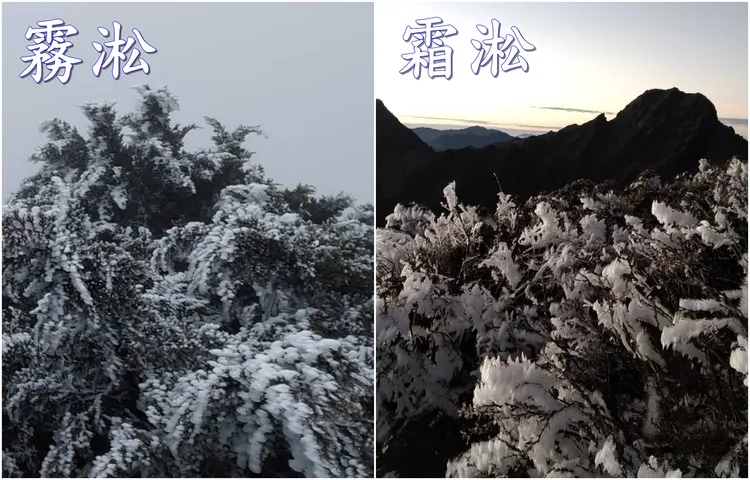 玉山的霧淞和雙淞。氣象署提供