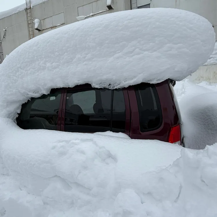 車輛被大雪覆蓋。翻攝自X @sparrowman_12