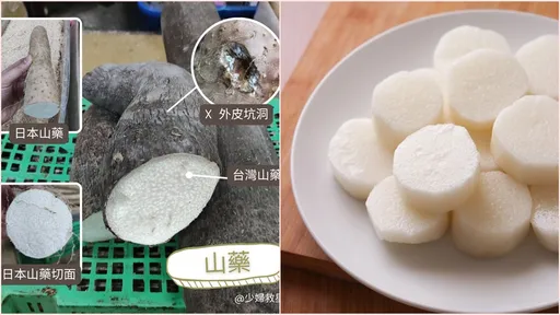 專業菜販教你山藥怎麼挑　拿起來越重越紮實越好