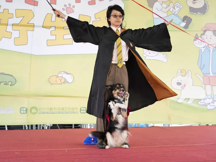 八度音萌犬帶來精彩的人犬共舞。新竹市府提供