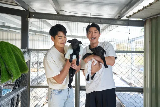 禾浩辰任動物愛心大使落下男兒淚　談家中狗狗年邁失禁