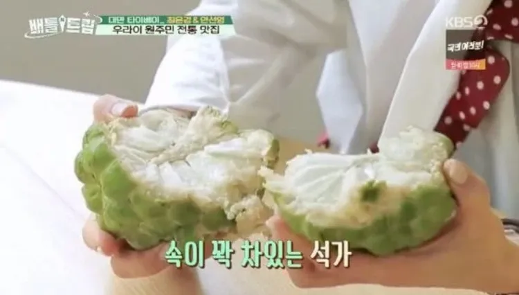 韓國KBS旅遊節目也介紹了釋迦。翻攝自theqoo