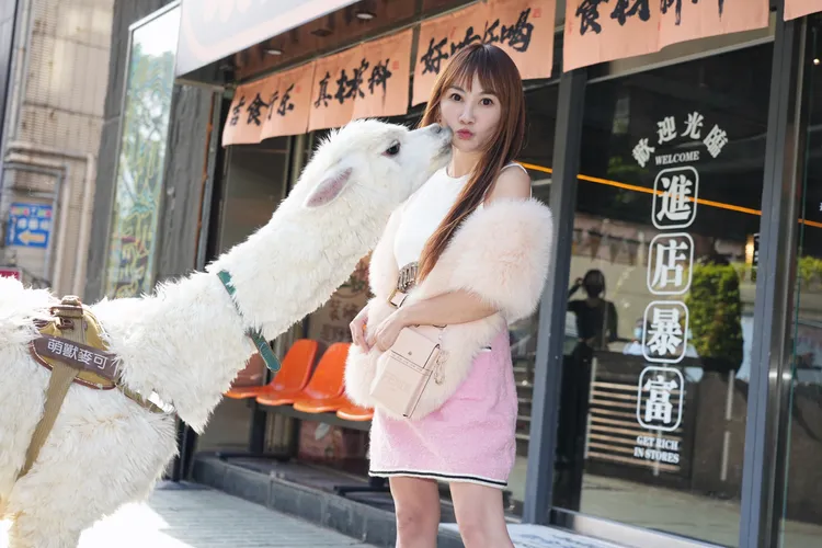 王宥忻帶著飼養的草泥馬「麥可」探店，成為人形立牌。彭欣偉攝