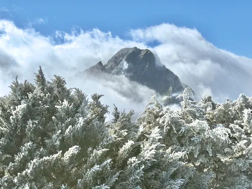 玉山「雾淞+雨淞」成银白世界 绝美景色曝光
