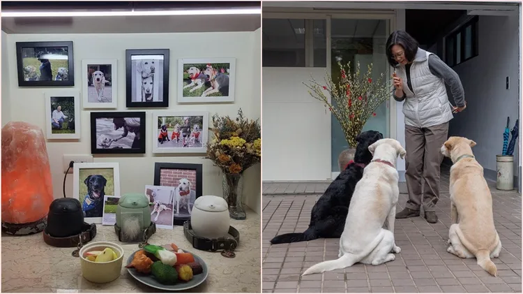 蔡英文導盲犬靈堂。翻攝自蔡英文臉書