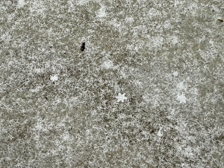 玉山降雪。氣象署提供