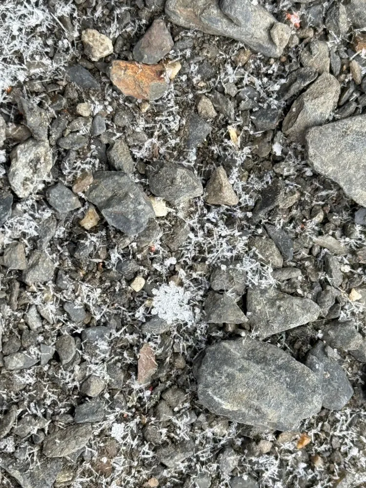 玉山降雪。氣象署提供