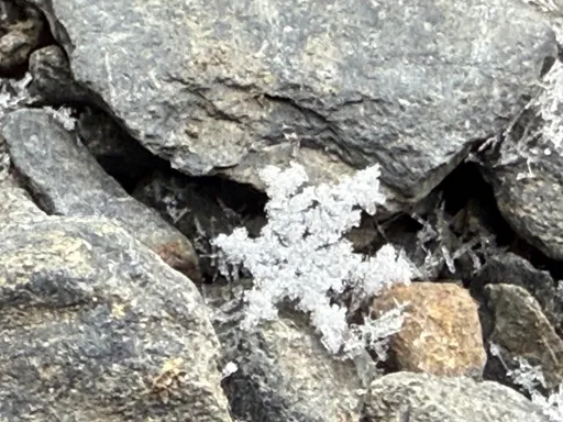 玉山下雪了！午後零下3.9℃飄初雪　氣象署喊「持續中」