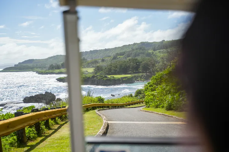 In Course一側為叢林，另側則是下有白浪拍岸的海濱。田欣雲攝影
