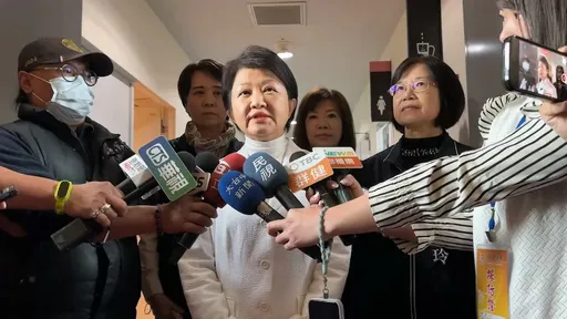 蔡壁如參選民眾黨中央委員「當選就辭市政顧問」 盧秀燕回應了