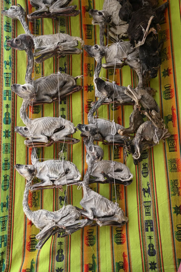 已經風乾的一些祭品。路透社