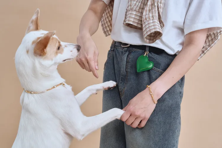 人與寵物可以佩戴同款輕珠寶象徵親近感情。品牌提供