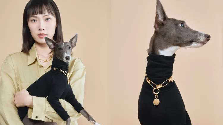 人與寵物可以佩戴同款輕珠寶象徵親近感情。品牌提供