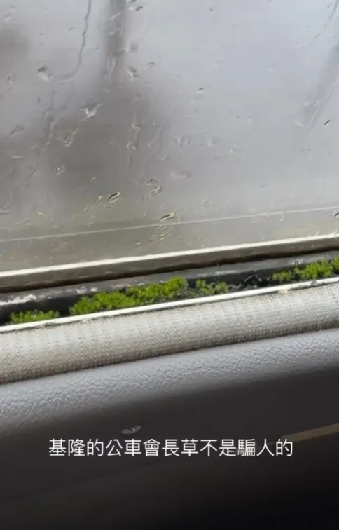 網友PO文表示，搭乘公車時赫然發現車窗縫隙長滿青苔。翻攝Threads
