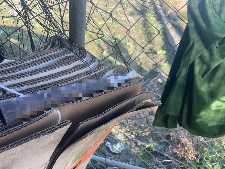 犯嫌使用之兇刀為農用割香蕉用的砍刀。翻攝畫面