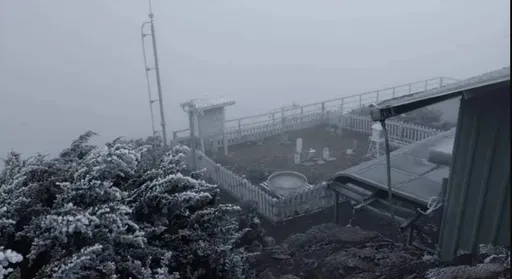 玉山結霜了！冷氣團發威-2.4℃　「雪白一片」畫面曝光