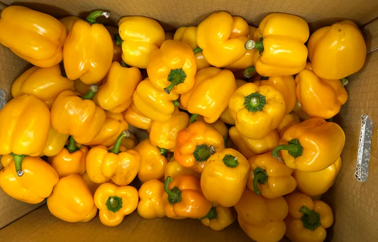 不符規定產品除「甜椒」外，均屬高風險農產品。北市衛生局提供