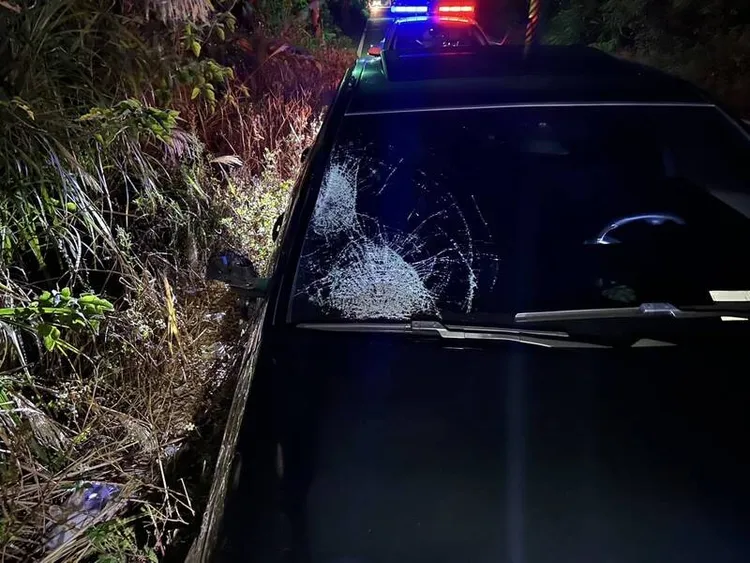 賓士車前擋風玻璃裂損。翻攝畫面