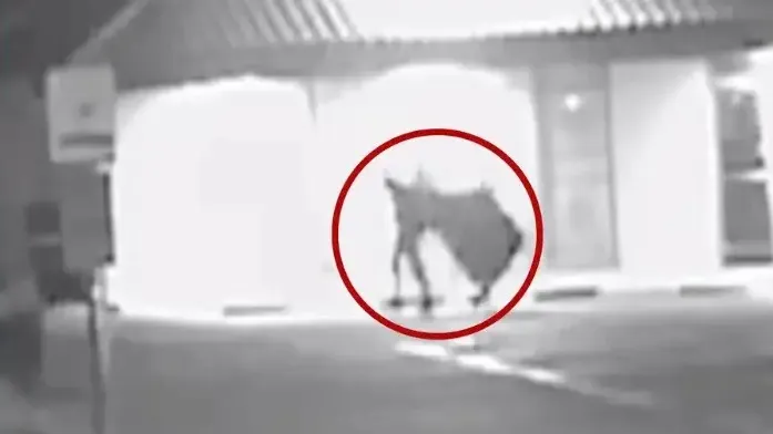 監視器錄下一位遊民將一台遊戲機搬走。翻攝自《紐約郵報》