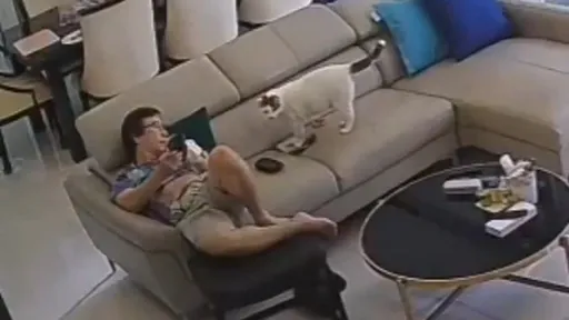 貓咪不說但貓奴懂！牠與他30秒互動讓千萬人見證誰是一家之主