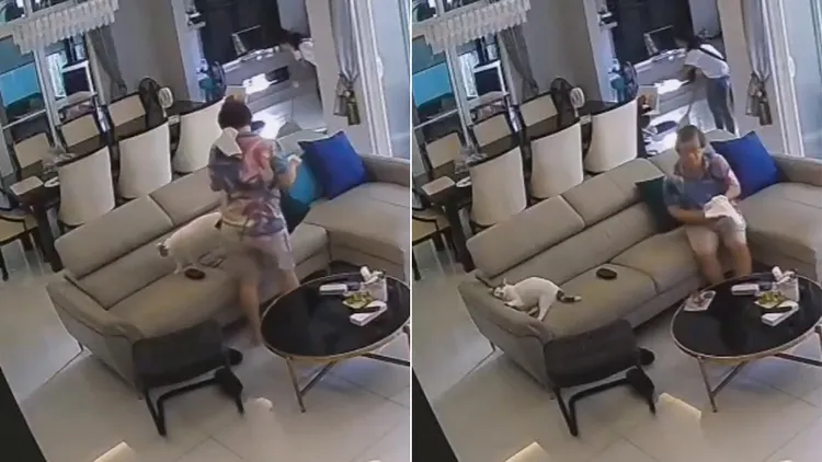 飼主似乎讀懂貓咪的心思，起身與牠換位子。飼主與貓咪的互動引發網友們熱議。翻攝自「Posts Of Cats」X