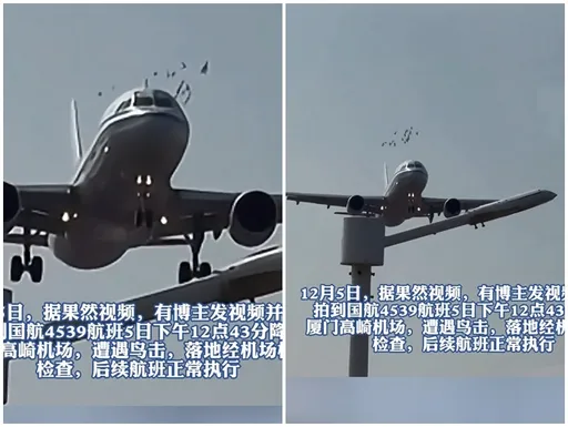 驚險影片！客機降落遭遇鳥群　正面迎擊血跡斑斑