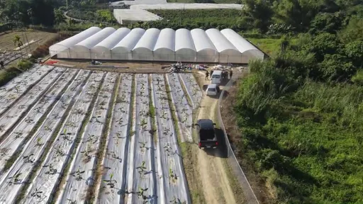 台南山區藏最大溫室大麻園!市價超過10億 檢警攻堅逮5嫌羈押