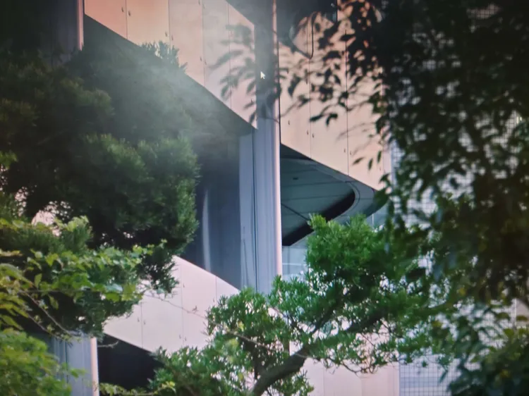 瓊瑤昨於淡水住家輕生，家屬發現時已無生命徵兆。翻攝畫面