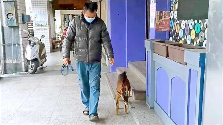 鄭男在公寓養羊，還經常牽著羊在附近散步。資料照片