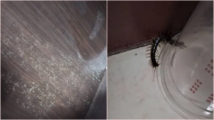 網友秀出潮濕發霉到有蜈蚣。翻攝自批踢踢