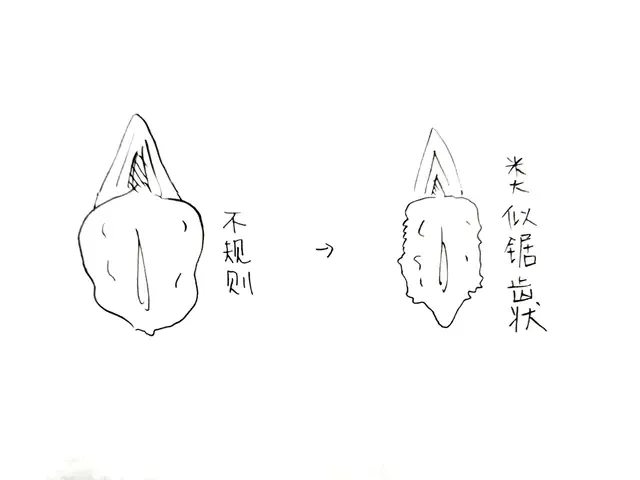 原PO術後，下體從不規則變成鋸齒狀。翻攝自Dcard
