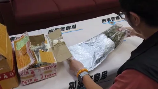 泰國進口玩具藏大麻!26歲越籍男成運毒手 刑事局一舉查獲5失聯移工