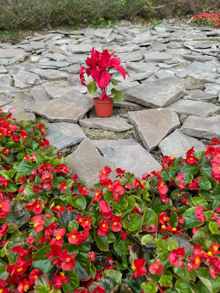 母親以花葬方式送女兒最後一程。翻攝Threads