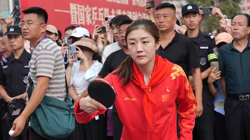馬龍樊振東陳夢退出桌球世界排名 中國乒協回應了